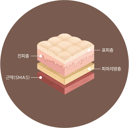 피부 층